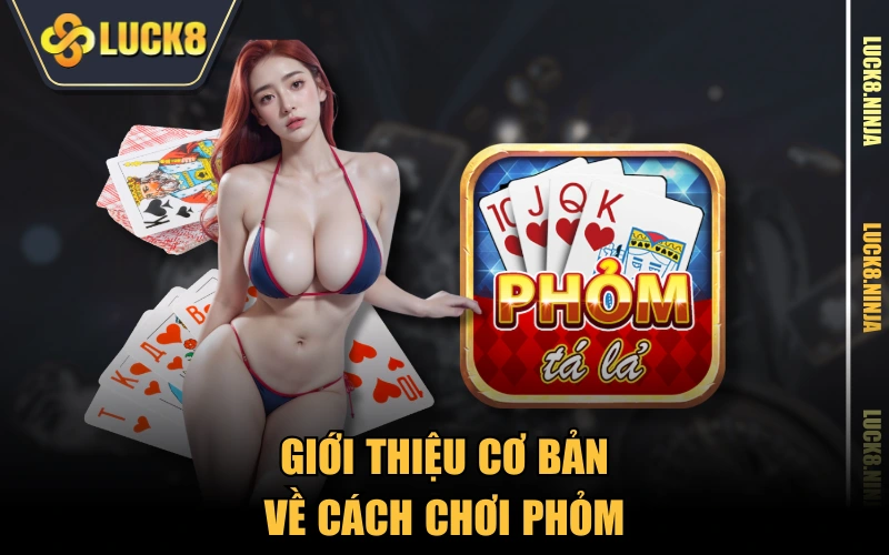 6 Bí Quyết Chơi Phỏm Cực Hay Đến Từ Các Cao Thủ LUCK8 2 Giới thiệu cơ bản về cách chơi Phỏm